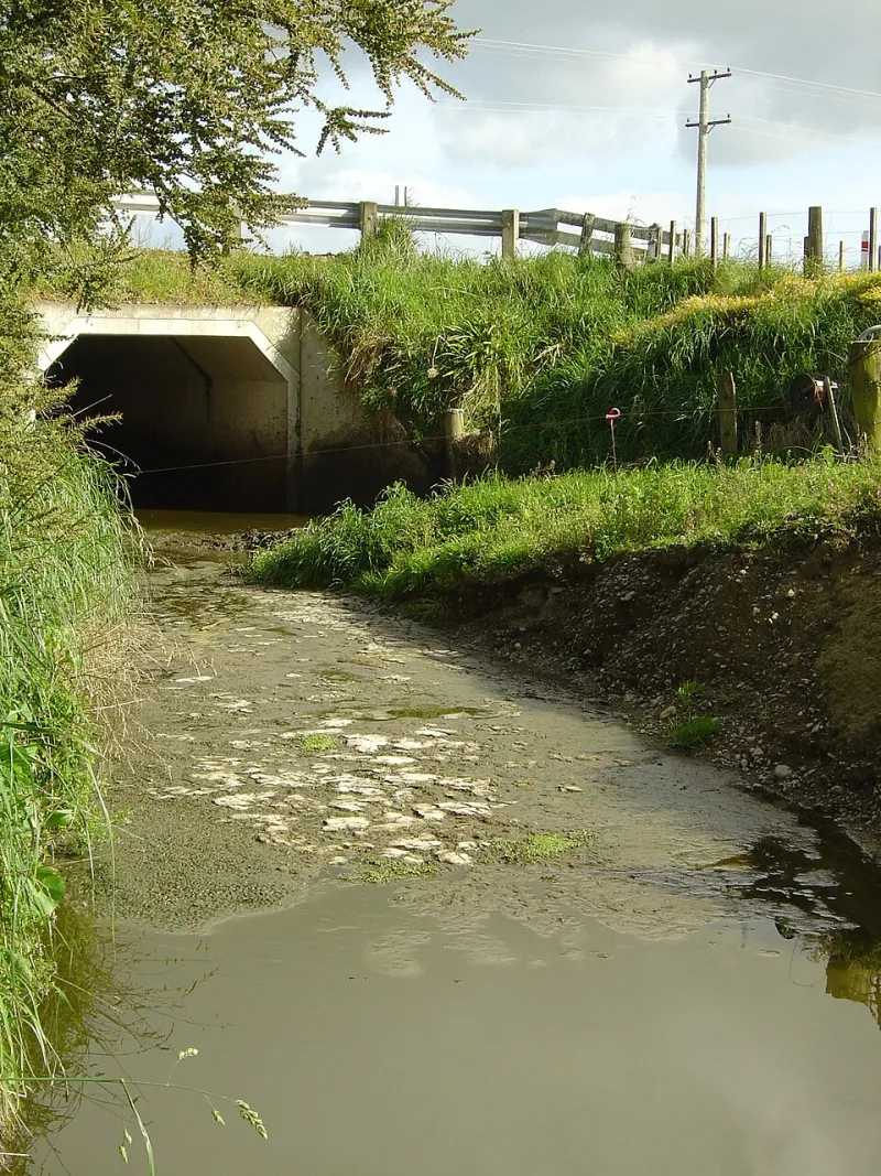 Danni all'Ecosistema e Risarcimento: Come Funziona la Responsabilità Civile Ambientale in Italia