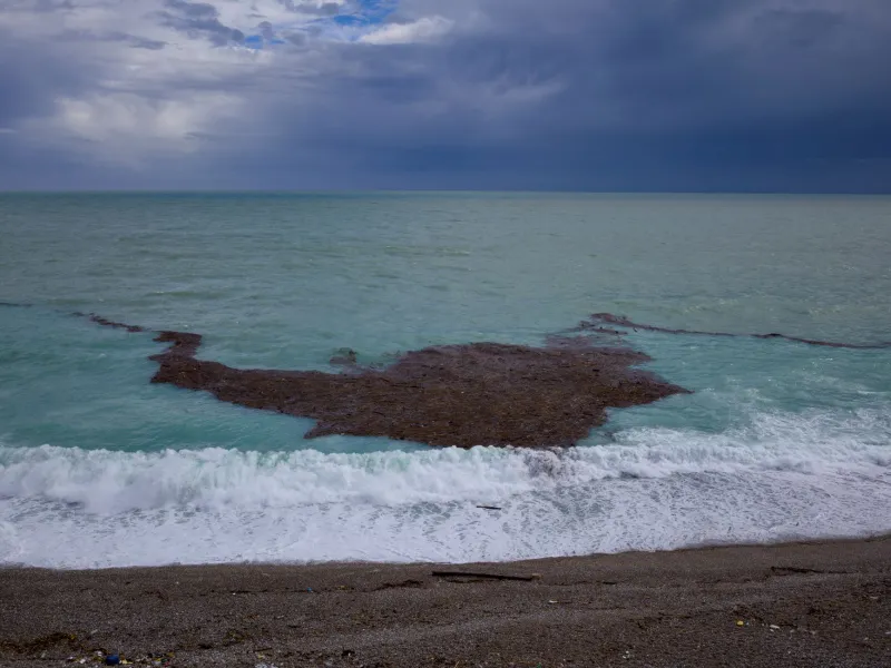 Mare Negato: Gli Strumenti Giuridici per Contestare le Ordinanze di Divieto di Balneazione